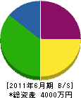 竹内土建 貸借対照表 2011年6月期