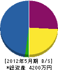 大川商事 貸借対照表 2012年5月期