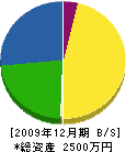田中電機商会 貸借対照表 2009年12月期