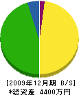 寺島建築事務所 貸借対照表 2009年12月期