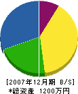 平井工務店 貸借対照表 2007年12月期