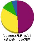 龍泉工業 貸借対照表 2009年3月期