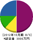 塚谷三方園 貸借対照表 2012年10月期