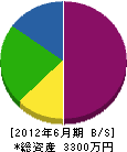 廣瀬興業 貸借対照表 2012年6月期