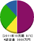 安藤電気工事 貸借対照表 2011年10月期