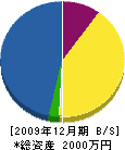 廣田組 貸借対照表 2009年12月期