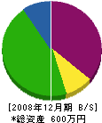 池田畳店 貸借対照表 2008年12月期
