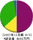 田所興業 貸借対照表 2007年12月期