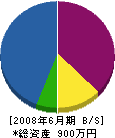 エースジャパンエステート 貸借対照表 2008年6月期