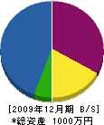 ノゾエ産業 貸借対照表 2009年12月期