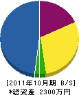 坂本工務店 貸借対照表 2011年10月期