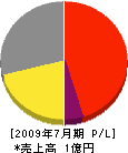 松本産業 損益計算書 2009年7月期