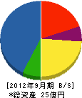 冨士レジン工業 貸借対照表 2012年9月期