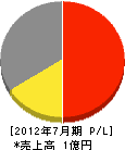 平田電気商会 損益計算書 2012年7月期