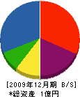 斎藤工務所 貸借対照表 2009年12月期