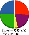 関川建設 貸借対照表 2009年5月期