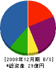 中央理化工業 貸借対照表 2008年12月期