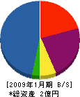 坂部土木 貸借対照表 2009年1月期