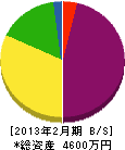 木村工業所 貸借対照表 2013年2月期
