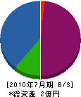 高川電工 貸借対照表 2010年7月期