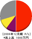 アサノ開発 損益計算書 2008年12月期