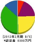 桜井電業社 貸借対照表 2012年2月期