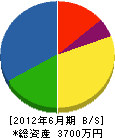 佐々木電機工業 貸借対照表 2012年6月期