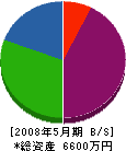 辻工務店 貸借対照表 2008年5月期