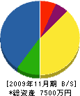 三協電気工事 貸借対照表 2009年11月期