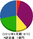 川野電設工業 貸借対照表 2012年6月期