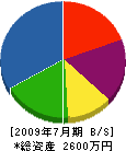 山倉電機 貸借対照表 2009年7月期