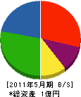 庄栄 貸借対照表 2011年5月期