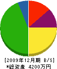 山田電気商会 貸借対照表 2009年12月期