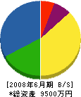 松大組 貸借対照表 2008年6月期