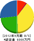 豊国電気 貸借対照表 2012年9月期