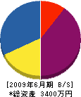 川崎左官工業所 貸借対照表 2009年6月期