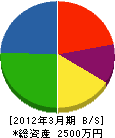 橋本工務店 貸借対照表 2012年3月期