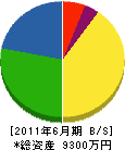 横山電気 貸借対照表 2011年6月期