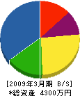 徳満工務店 貸借対照表 2009年3月期