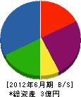 栄伸工業 貸借対照表 2012年6月期