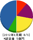 竹田組 貸借対照表 2012年6月期