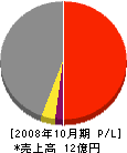ジャパンビルド 損益計算書 2008年10月期