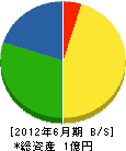 岸田組 貸借対照表 2012年6月期