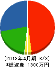 稲毛電気 貸借対照表 2012年4月期