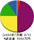 田中 貸借対照表 2008年7月期