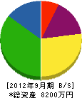 津島電工 貸借対照表 2012年9月期