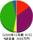 松浦組 貸借対照表 2009年12月期
