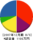 雄輝電気 貸借対照表 2007年12月期