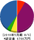 青島建具工業 貸借対照表 2010年5月期