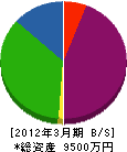 昭和商会 貸借対照表 2012年3月期